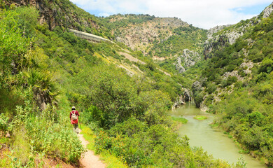 Senderismo en el Parque Natural de los Alcornocales, provincia de Málaga, Andalucía, España