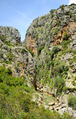 Fototapeta na wymiar Cañón de las Buitreras Parque Natural de los Alcornocales. Provincia de Málaga, Andalucía, España.