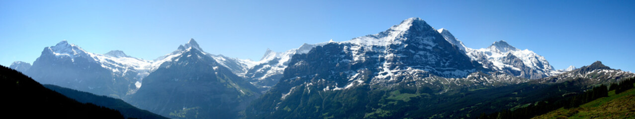 Schreckhorn, Wetterhorn, Eiger Panorama vom First