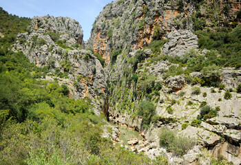 Canyon of Buitreras at the Alcornocales Natural Park. Province of Malaga, Andalusia, Spain