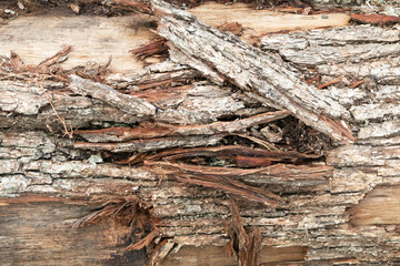 timber
