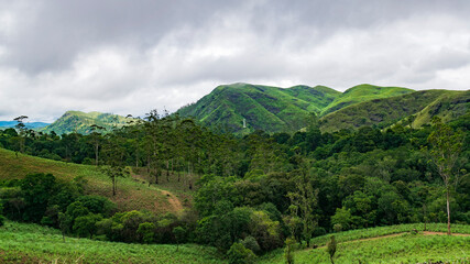 Obraz premium Cloudy green hill top. Amazing view of green hill top with rain clouds.