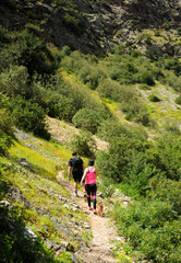 Fototapeta na wymiar Senderismo en el Cañón de las Buitreras Parque Natural de los Alcornocales, provincia de Málaga, Andalucía,