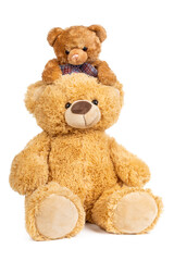 Teddy bear with little bear on white background.