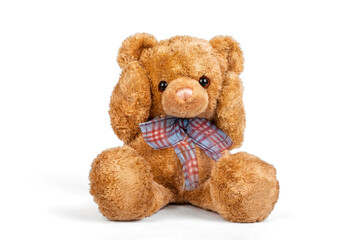 Teddy bear seated on white background.