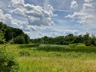 clouds over the wetland