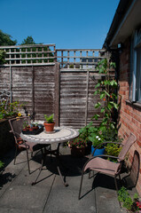 Growing vegetables on patio