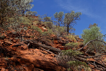 Park narodowy Watarrka, Northern Territory © Miroslaw
