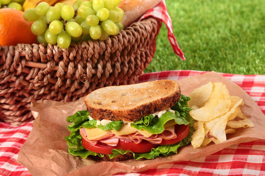 Summer Picnic Hamper Toasted Ham And Cheese Sandwich