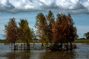 lake in autumn