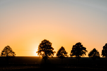 Beautiful natural nature sunset light in a idyllic forest with golden autumn light and peaceful scenery. Enjoy the mountain landscape. German places. Harz Mountains, Harz National Park in Germany.