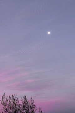 Dusty Purple Clouds And A Full Moon Light Up The Night Sky.