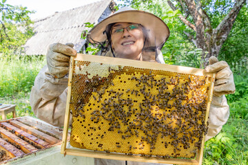 Woman beekeeper holding frame with bees in her hands. On honeycombs, sealed brood and honey. A woman dressed in protective suit and gloves protecting from bee stings. In garden under trees is beehive.