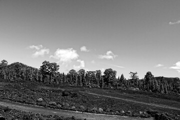 calm mountain landscape around Teide on the Spanish Canary Island Tenerife