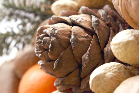 Pine cones, peanuts. In background orange and spruce branch. Christmas and New Year theme. It festive theme. Food. Snack. Background. Macro. Electoral focus. Copy space for text. Blurring background