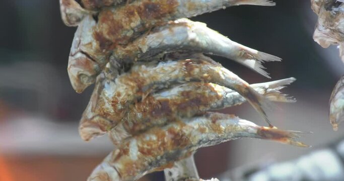 sardine on the 
barbecue