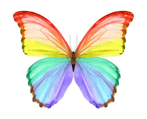 Obraz na płótnie Canvas Beautiful butterfly 6 color