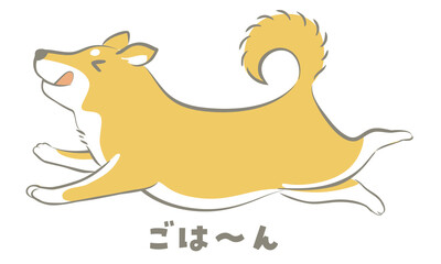 犬・柴犬（ごはん）