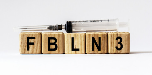 Text FBLN3 made from wooden cubes. White background