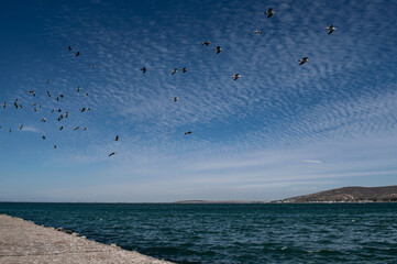 A harbour pier leading into the ocean.