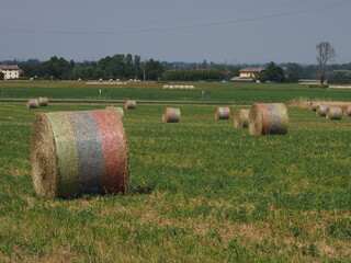 agricoltura