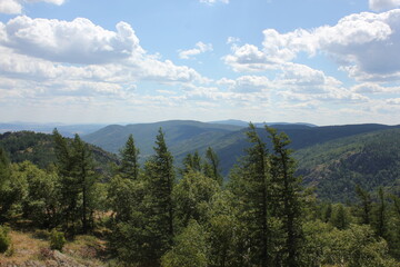 Obraz premium Summer panoramic landscape with mountains and lakes. A tree with a mountain in the background