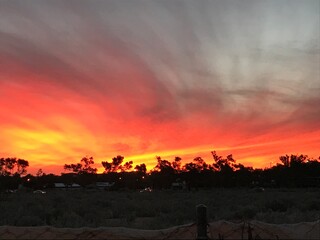 Desert Sunset