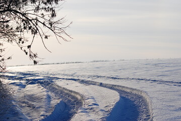 winter landscape with trees