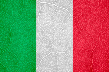 flag of Italy on the structure of a tree leaf macro