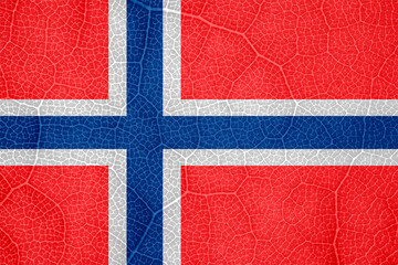 flag of Norway on the structure of a tree leaf macro