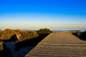 Wooden pathway leading to the beach.