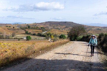 Obraz premium Pilgrim walking on the way to Santiago de Compostela, St. James pilgrimage route
