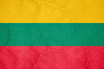 flag of Lithuania on the structure of a tree leaf macro