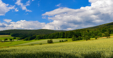 Fototapeta premium Westerngrund im unterfränkischen Landkreis Aschaffenburg