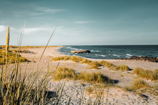 Beautiful endless white sand beach with dune view on a warm summer evening. End of europe, Top of denmark in Skagen, Grenen in Europe