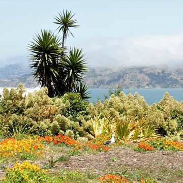 Beautiful view from the garden at the island of Alcatraz