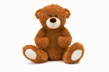 Teddy Bear Brown color