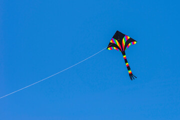 A kite in the color of rainbow flying on the blue sky. Playing with delta kite. Multicolored one string stunt kite against clear sky