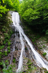 Fototapeta na wymiar この写真は埼玉県秩父にある丸神の滝の写真です。