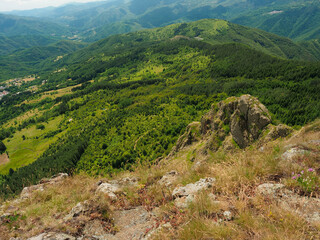 landscape view from a peak
