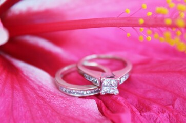 A silver wedding ring and engagement ring placed in a pink hibiscus flower for a tropical wedding concept.