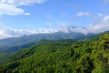 Green mountain forest peak scenic view on a blue sky with morning clouds on Montseny mountain peak, Catalonia
