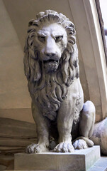 Lion statue in Palazzo Vecchio, Florence