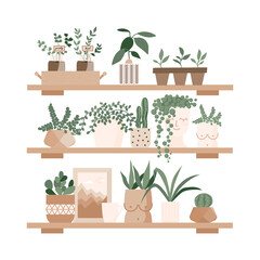 Urban jungle, home plants set in cute pots on the shelves. Gardening, greenhouse, planters, cacti, tropical leaves as home decor. Hand drawn flat vector elements for greeting cards, poster, banner