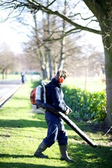 Young female gardener uses a leaf blower in a park while wearing red earphones,