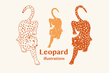 Hand drawn Vector Illustration of a Leopard © Anna