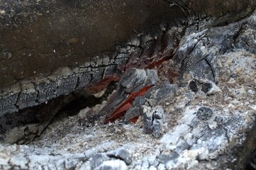 The burning logs. 