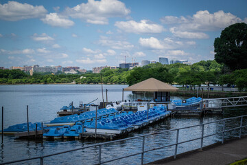 Fototapeta na wymiar Washington D.C. sightseeing during the day