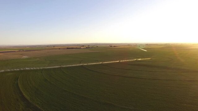 Aerial View Of Green Agriculture Field At Sunrise