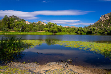 Obraz na płótnie Canvas This image was captured at Granite Basin Lake in the Granite Mountain Recreational area in Prescott, Arizona. Cattails and lily pads are seen by the shoreline.